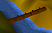 Log