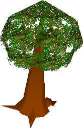 Magic Tree