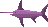 Swordfish