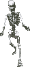 Skeleton