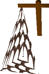 Trawler Net