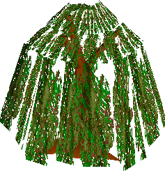 Willow Tree