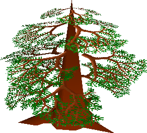 Yew Tree